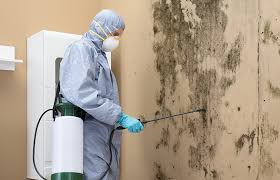 Biohazard Mold Removal in Canyonville, OR